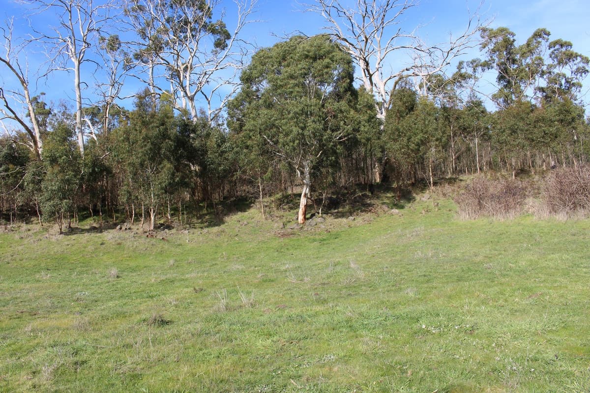 Cobden-Stonyford Road, Stonyford, VIC, Stonyford - Thumbnail 7