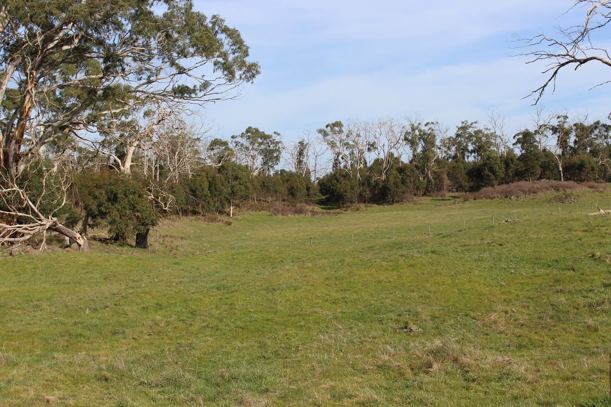 Cobden-Stonyford Road, Stonyford, VIC, Stonyford - Thumbnail 8