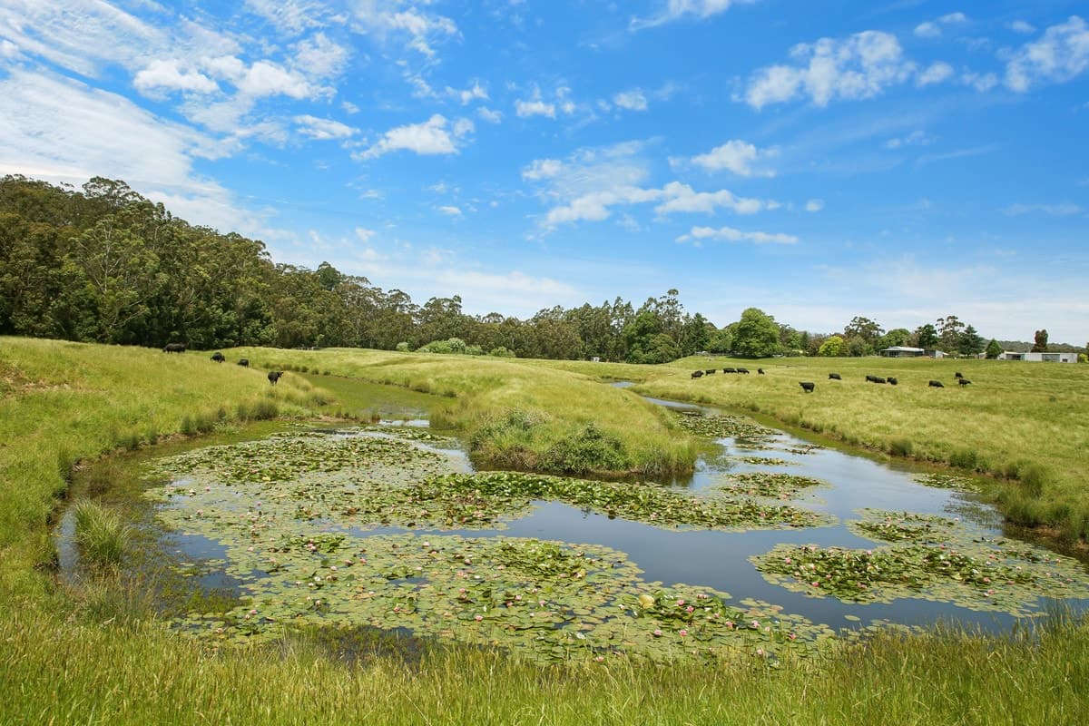 15 Old Beech Forest Road, Gellibrand, VIC, Gellibrand - Thumbnail 3