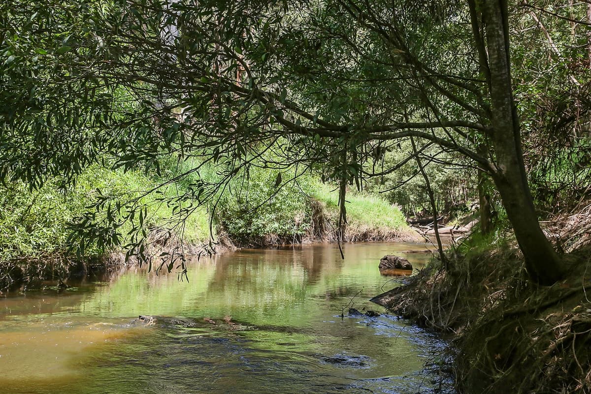 15 Old Beech Forest Road, Gellibrand, VIC, Gellibrand - Thumbnail 4