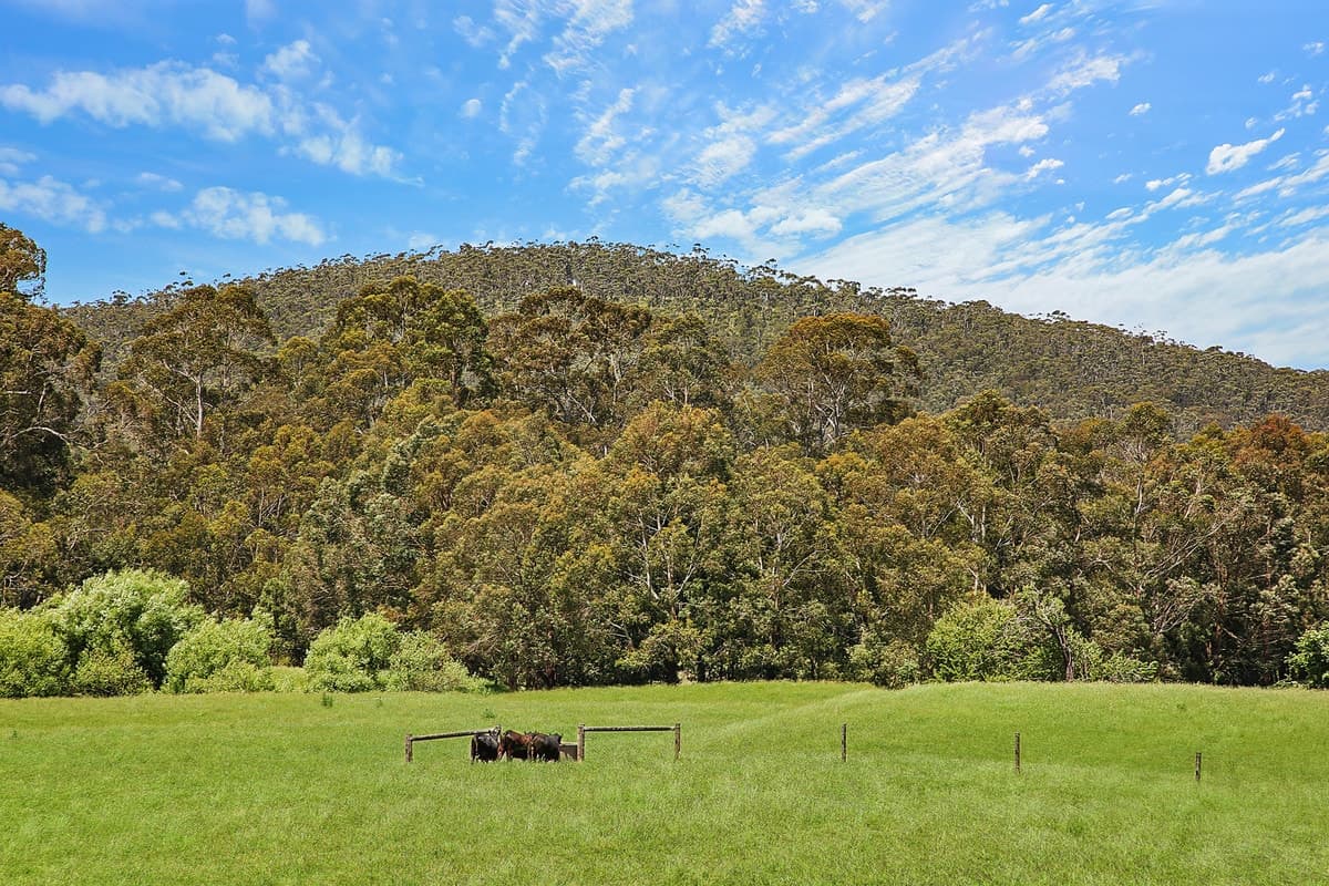 15 Old Beech Forest Road, Gellibrand, VIC, Gellibrand - Thumbnail 5