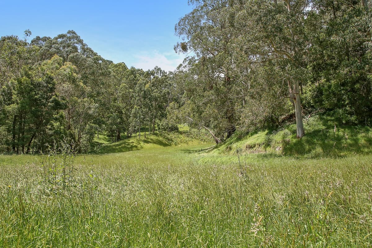 15 Old Beech Forest Road, Gellibrand, VIC, Gellibrand - Thumbnail 6