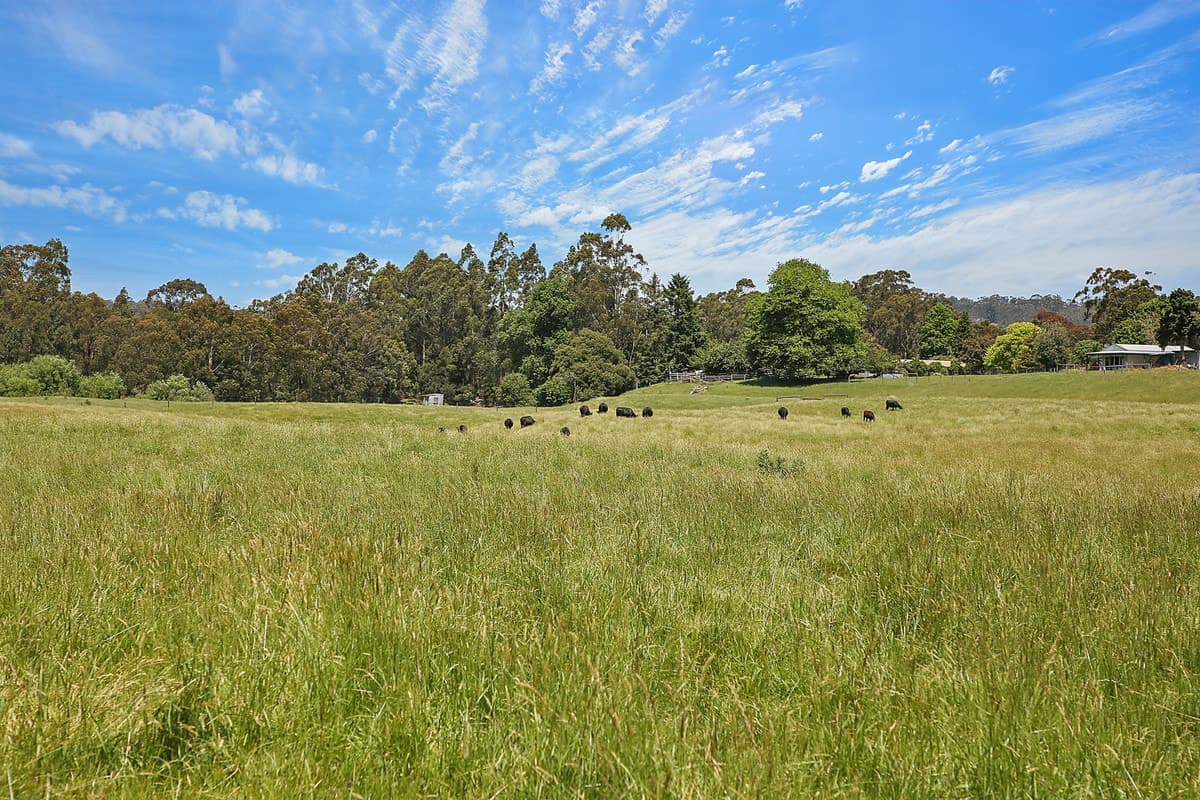 15 Old Beech Forest Road, Gellibrand, VIC, Gellibrand - Thumbnail 8