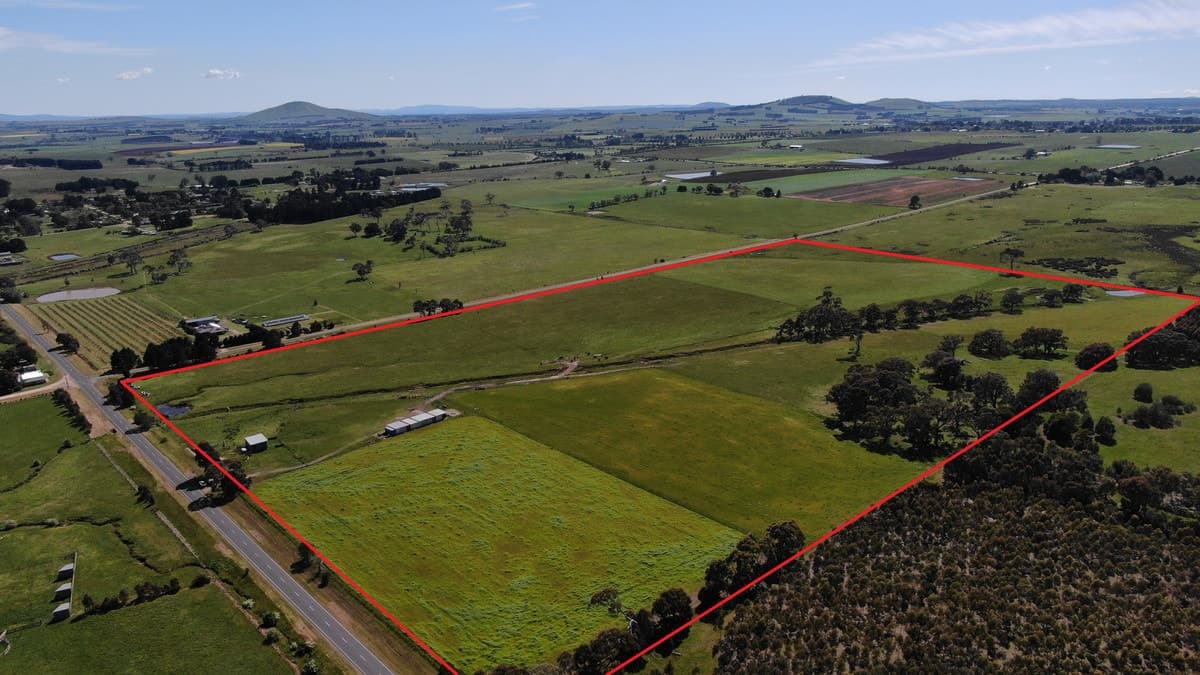 4255 Creswick-Newstead Road, Broomfield, VIC, Broomfield - Thumbnail 3