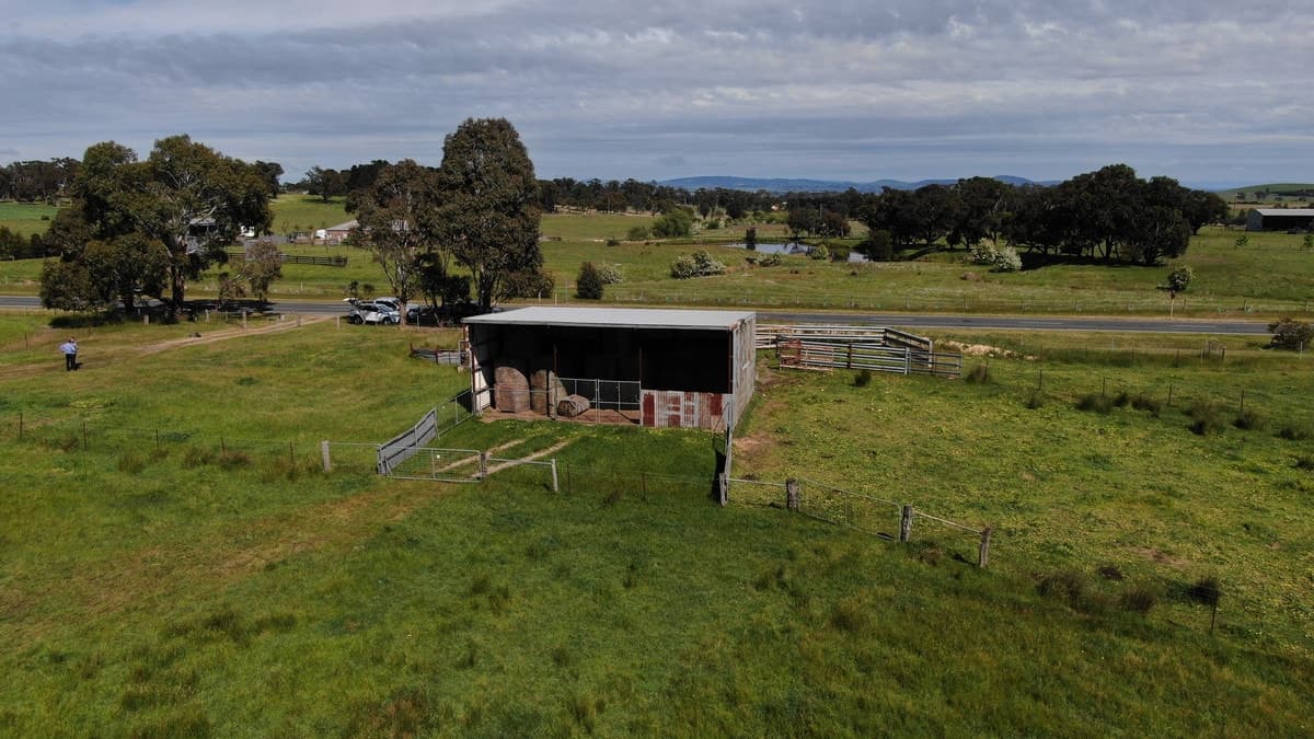 4255 Creswick-Newstead Road, Broomfield, VIC, Broomfield - Thumbnail 8