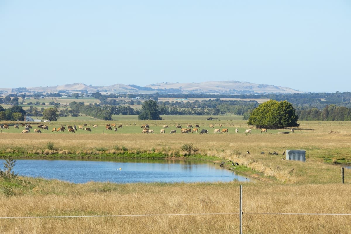80 McNabbs Road, Irrewillipe East, VIC, Irrewillipe East - Image 1