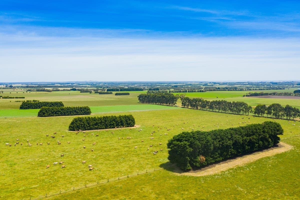 80 McNabbs Road, Irrewillipe East, VIC, Irrewillipe East - Thumbnail 4