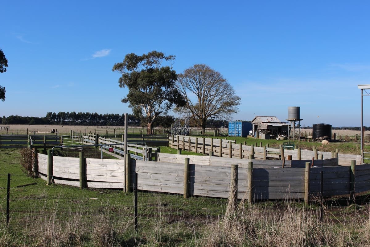 Settlement & Swan Marsh-Stonyford Road, Swan Marsh, VIC, Swan Marsh - Image 1