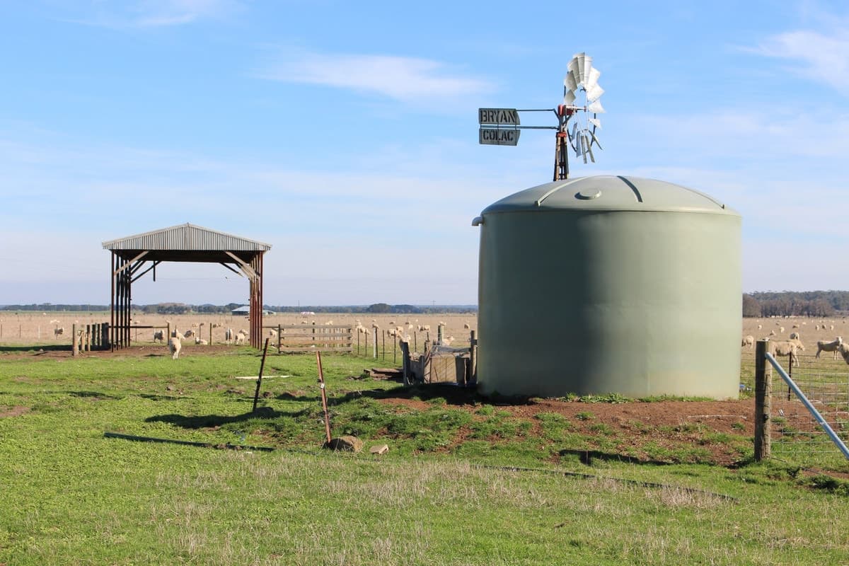 Settlement & Swan Marsh-Stonyford Road, Swan Marsh, VIC, Swan Marsh - Thumbnail 2