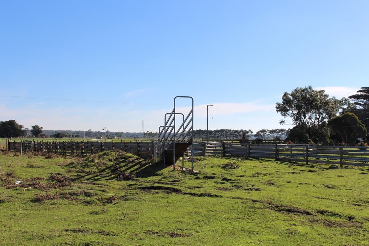 Settlement & Swan Marsh-Stonyford Road, Swan Marsh, VIC, Swan Marsh - Thumbnail 3