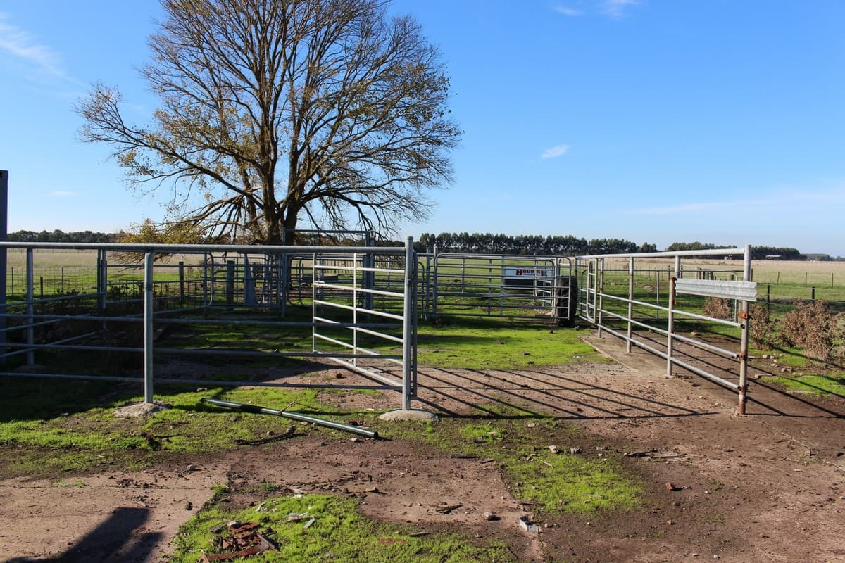 Settlement & Swan Marsh-Stonyford Road, Swan Marsh, VIC, Swan Marsh - Thumbnail 5