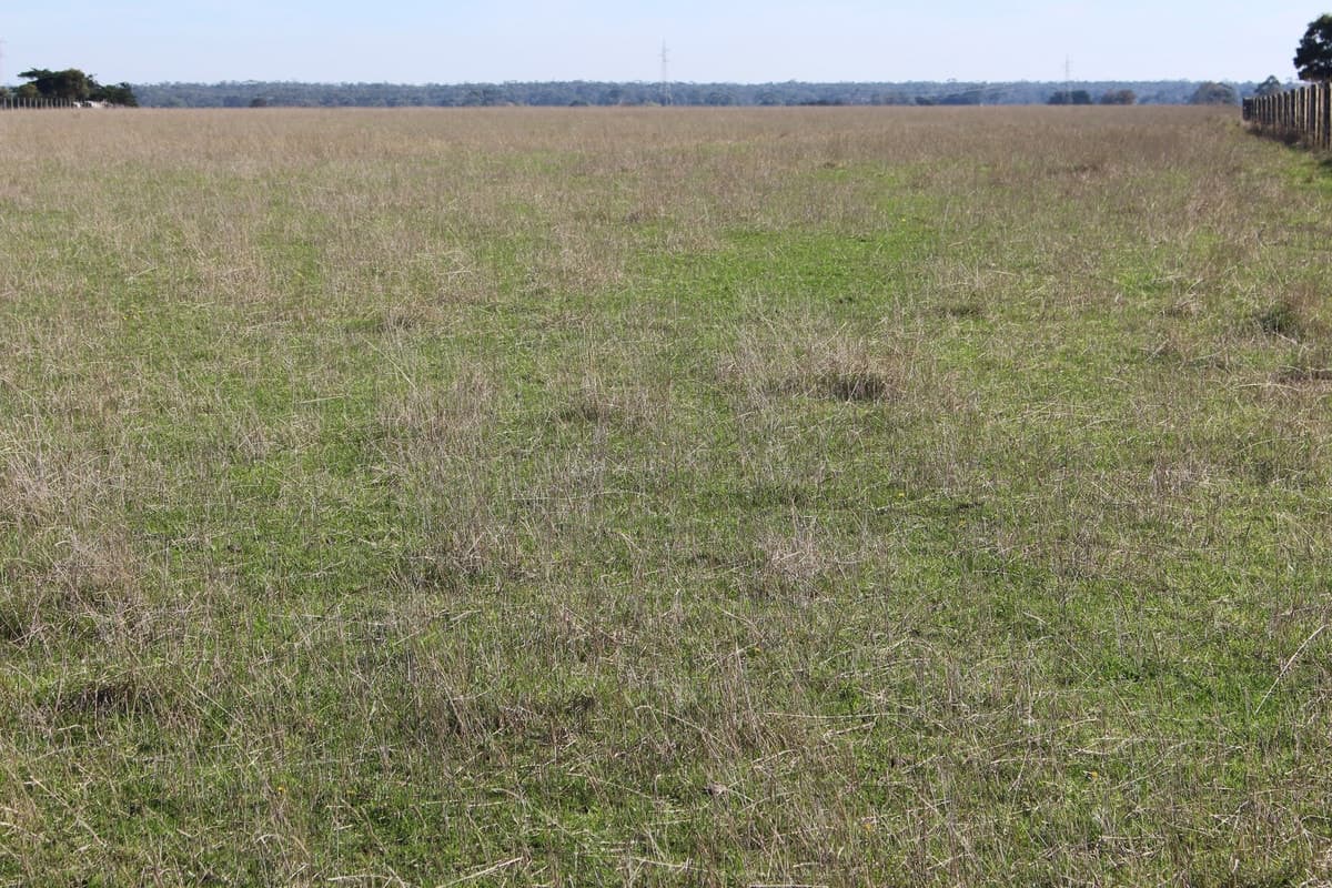 Settlement & Swan Marsh-Stonyford Road, Swan Marsh, VIC, Swan Marsh - Thumbnail 6