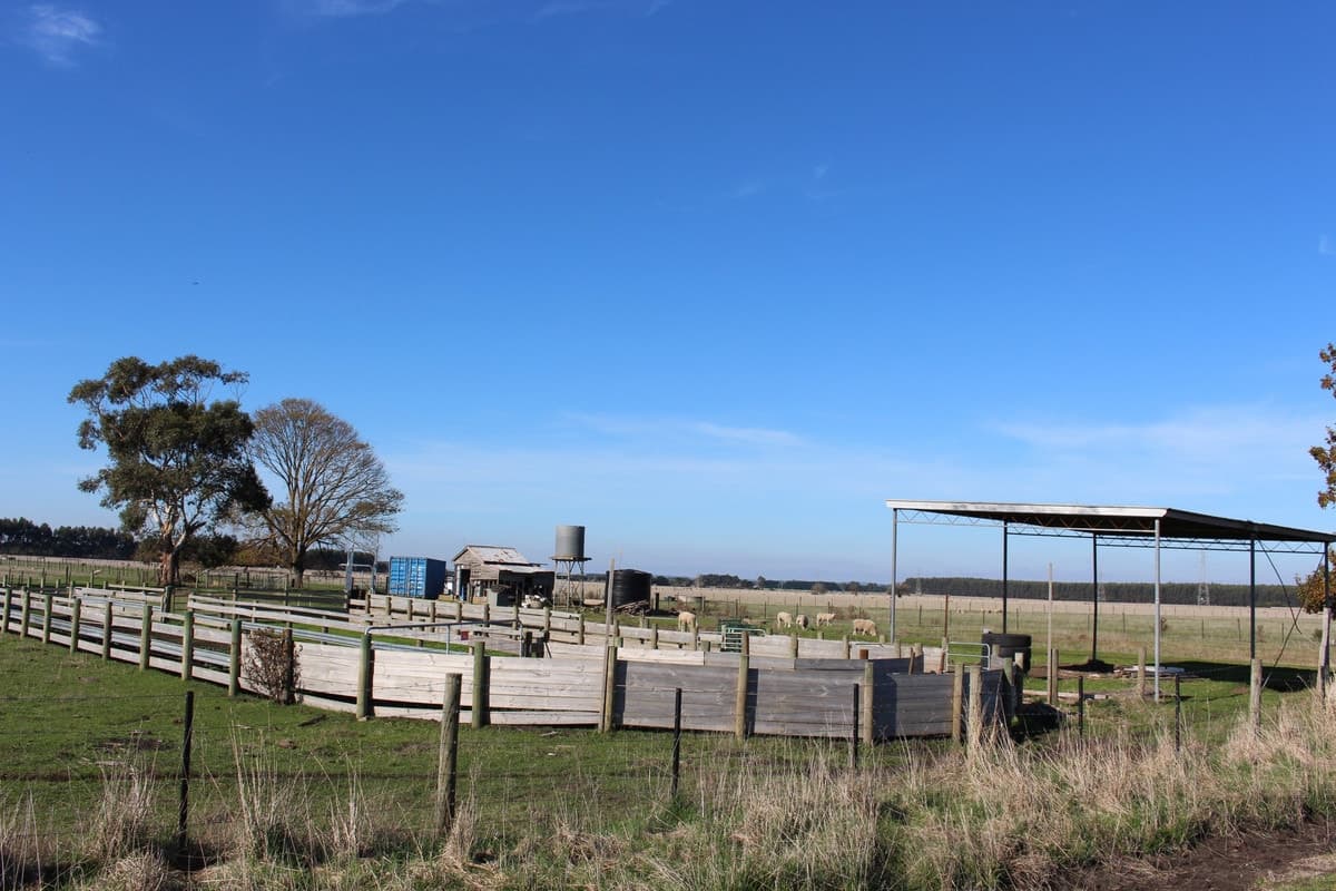 Settlement & Swan Marsh-Stonyford Road, Swan Marsh, VIC, Swan Marsh - Thumbnail 7