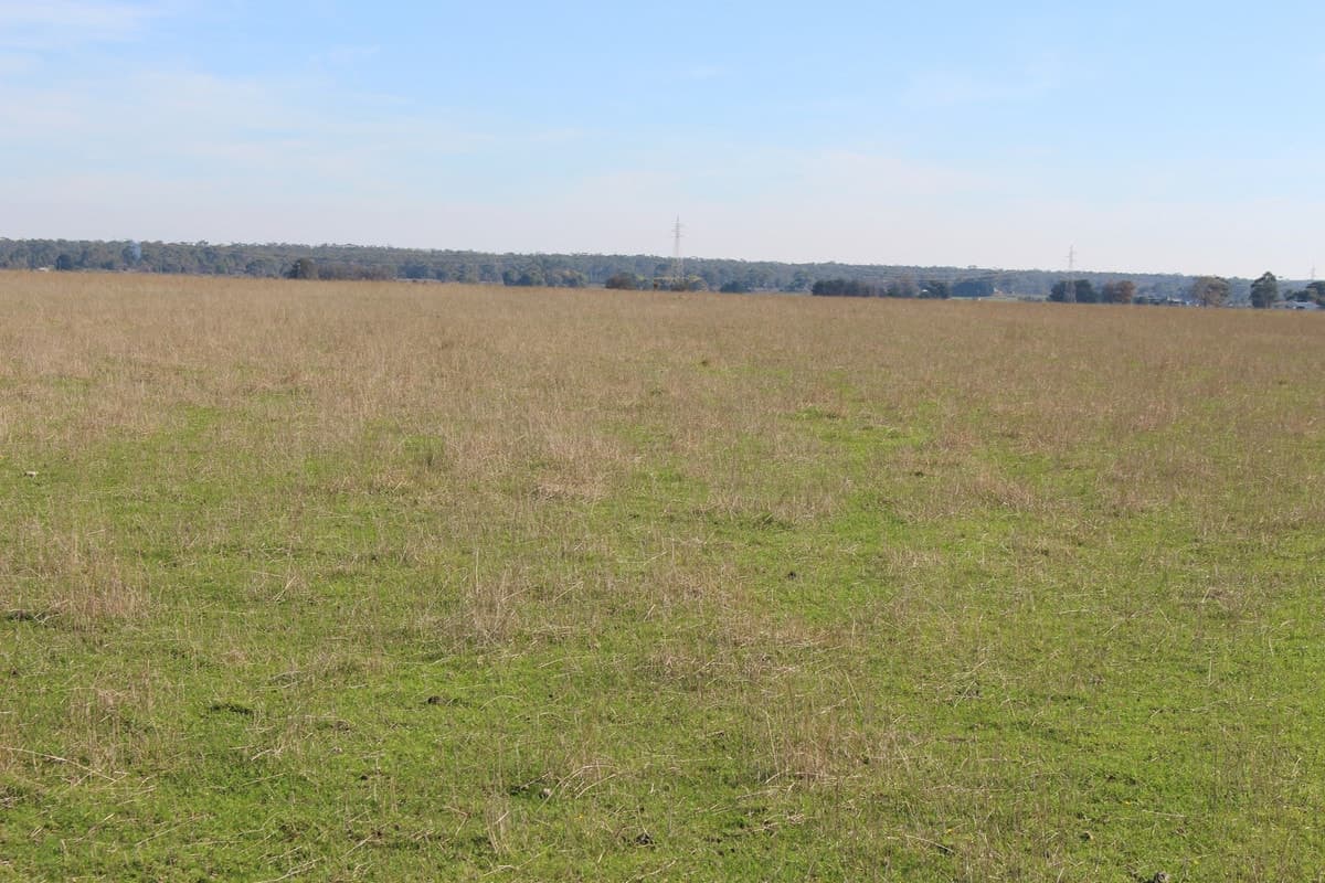 Settlement & Swan Marsh-Stonyford Road, Swan Marsh, VIC, Swan Marsh - Thumbnail 8