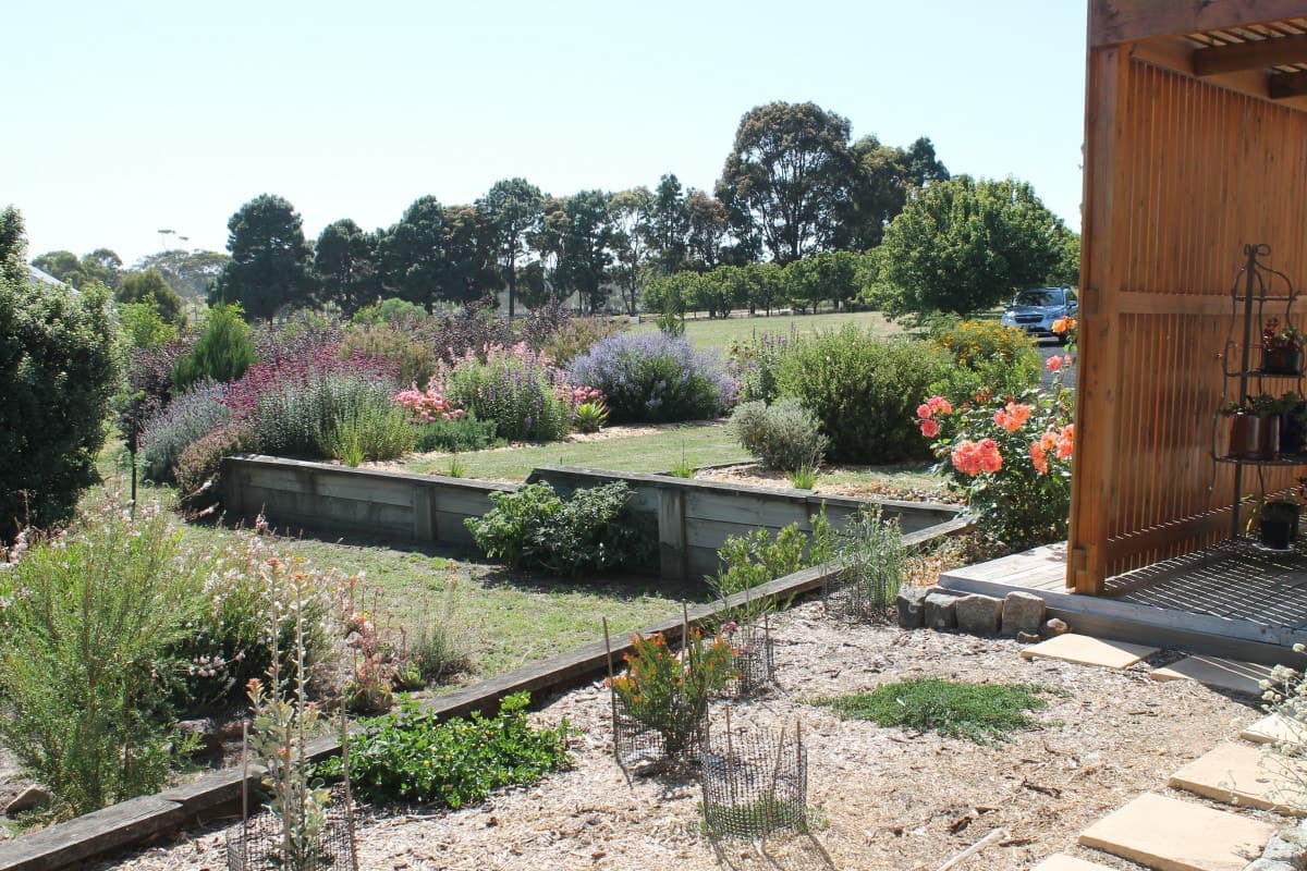 18 Roberts Lane, Birregurra, VIC, Birregurra - Thumbnail 6
