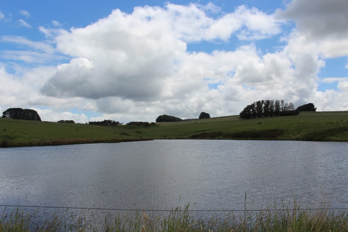 283 Tomahawk Creek Road, Simpson, VIC, Simpson - Image 1
