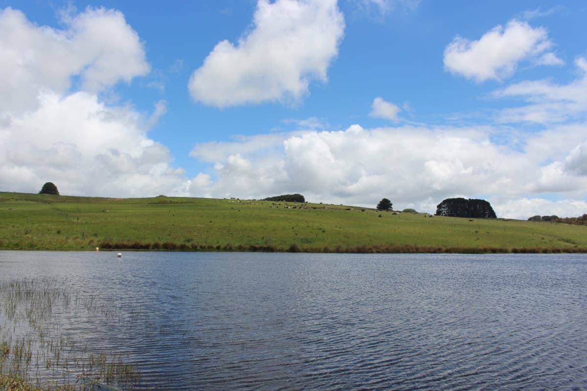 283 Tomahawk Creek Road, Simpson, VIC, Simpson - Thumbnail 5