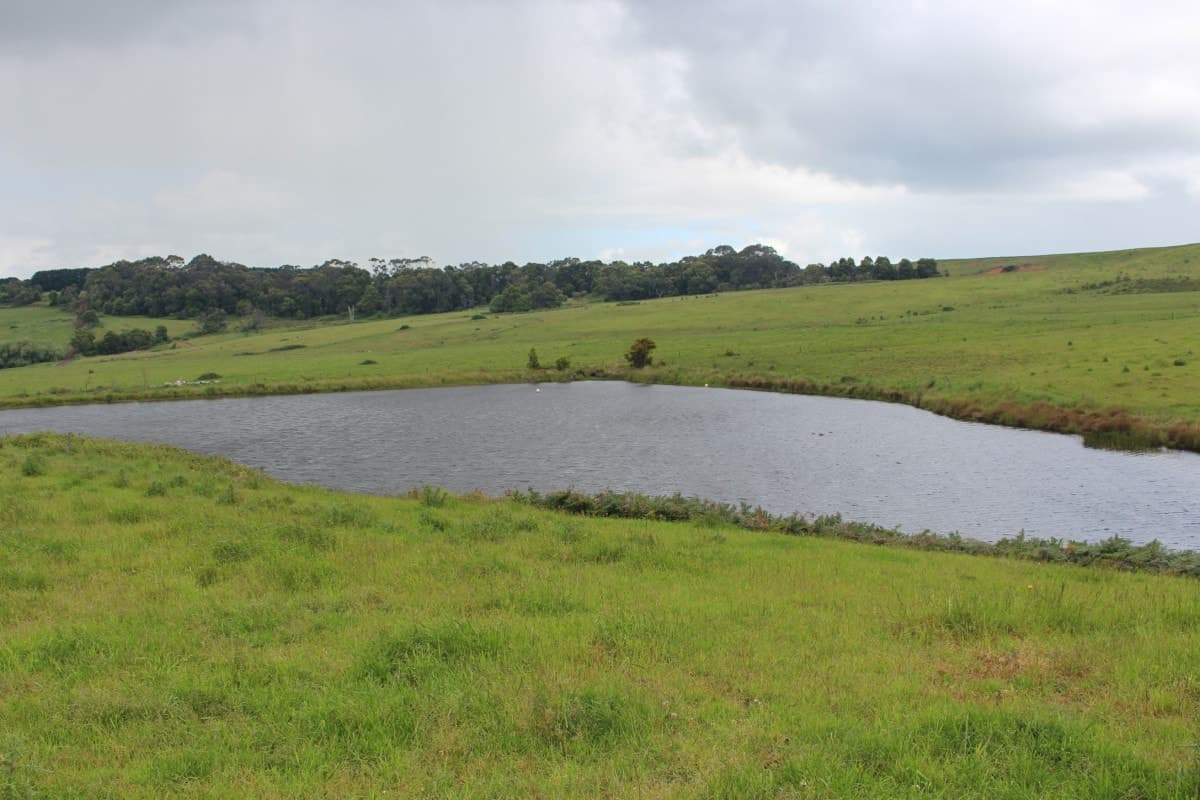 283 Tomahawk Creek Road, Simpson, VIC, Simpson - Thumbnail 7