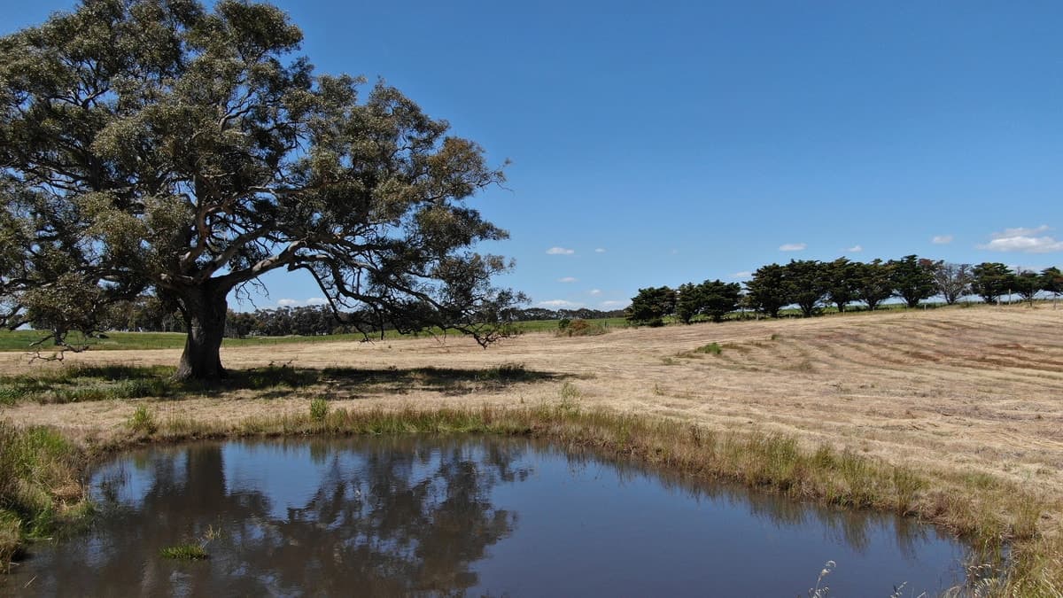 1,2 & 3 Hamilton Highway, Cressy, VIC, Cressy - Thumbnail 2