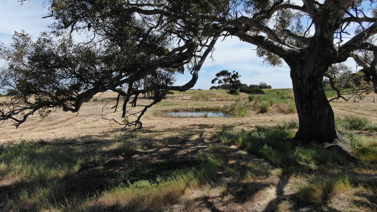1,2 & 3 Hamilton Highway, Cressy, VIC, Cressy - Thumbnail 3