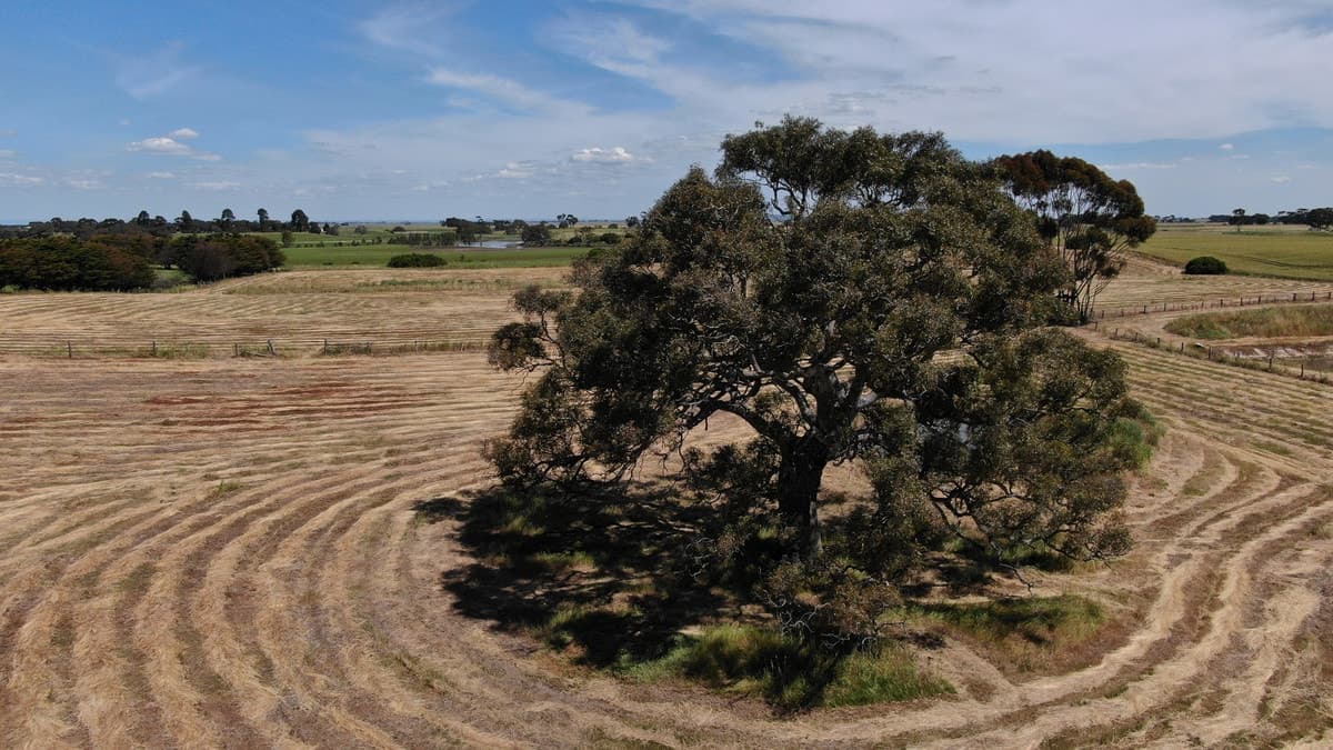 1,2 & 3 Hamilton Highway, Cressy, VIC, Cressy - Thumbnail 6
