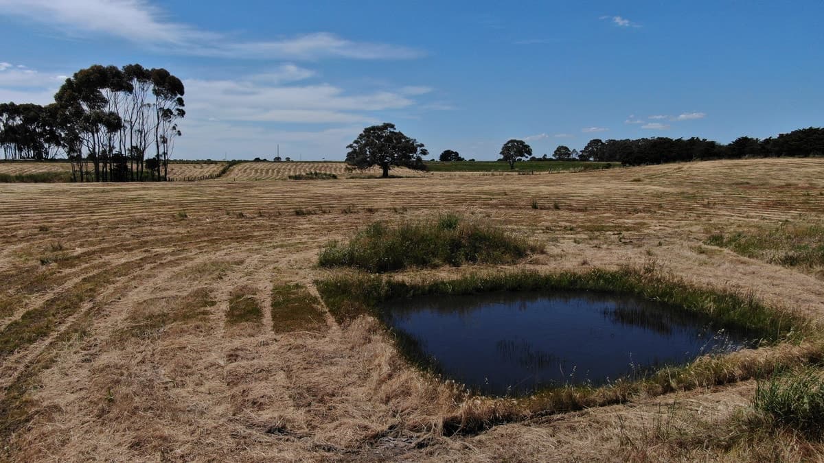 1,2 & 3 Hamilton Highway, Cressy, VIC, Cressy - Thumbnail 8