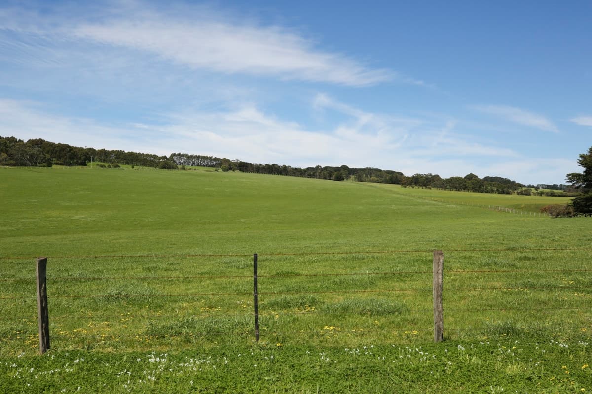 45 Skinners Road, Barongarook West, VIC, Barongarook West - Thumbnail 3