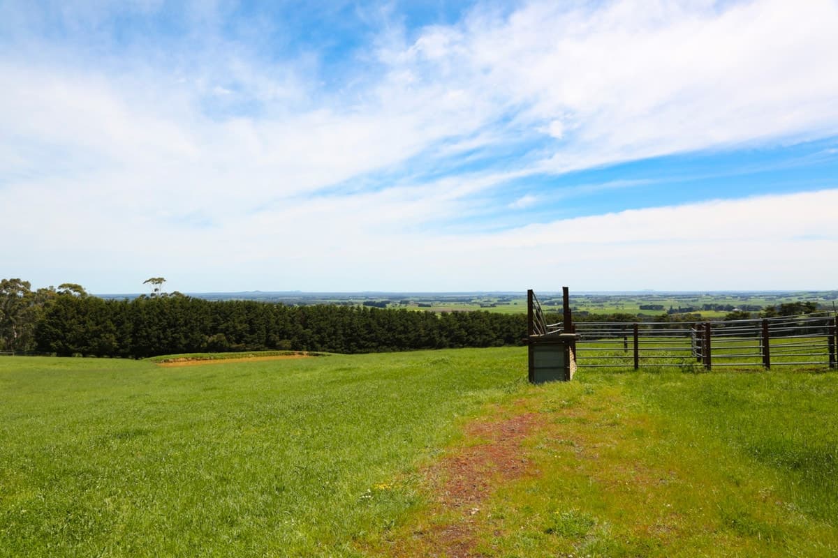 45 Skinners Road, Barongarook West, VIC, Barongarook West - Thumbnail 5