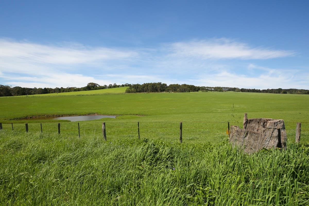 45 Skinners Road, Barongarook West, VIC, Barongarook West - Thumbnail 8