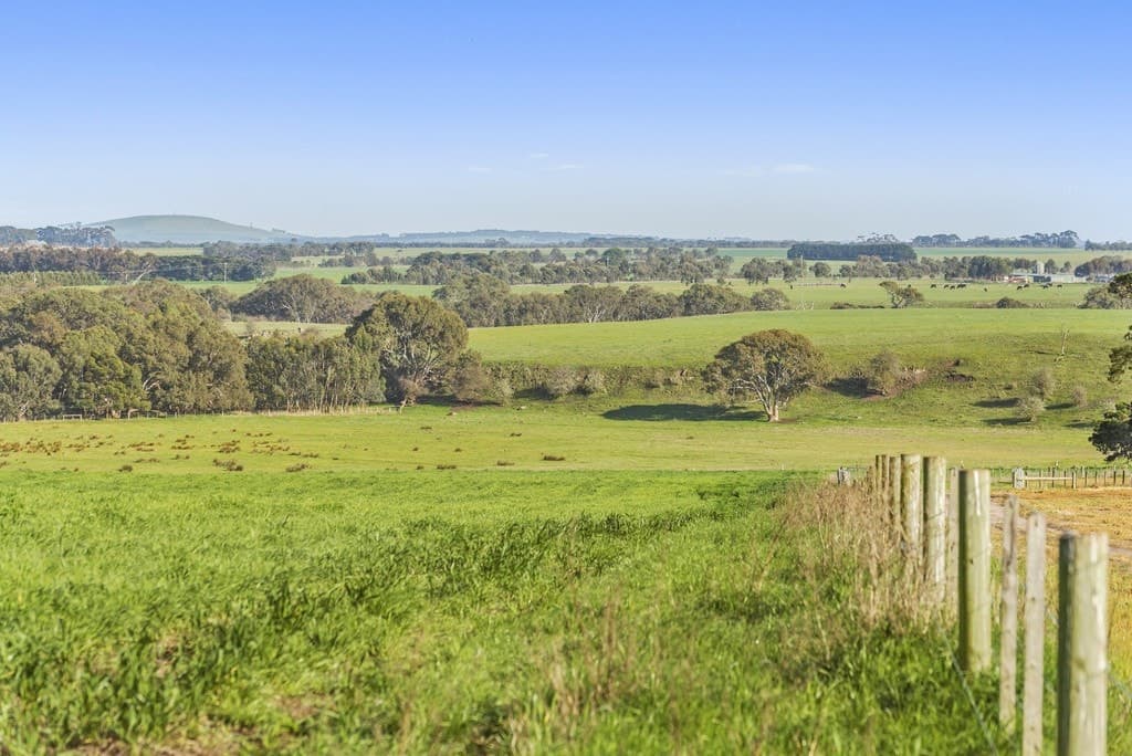 Murphys Run, Winchelsea South, VIC, Winchelsea South - Image 1