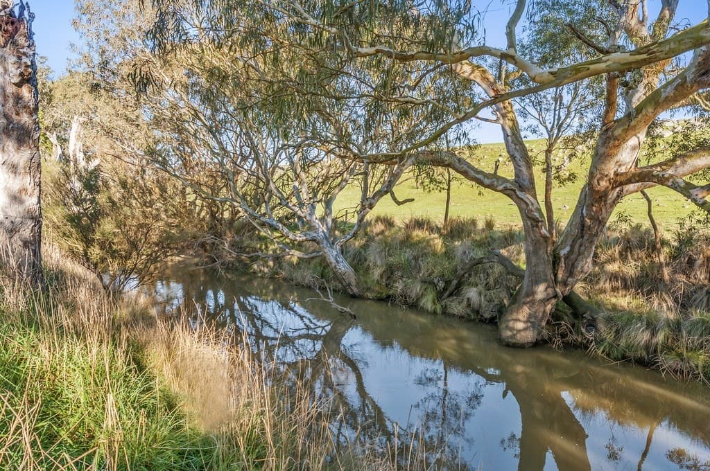 Murphys Run, Winchelsea South, VIC, Winchelsea South - Thumbnail 3