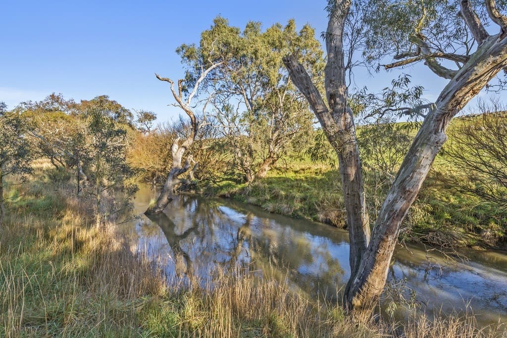 Murphys Run, Winchelsea South, VIC, Winchelsea South - Thumbnail 4