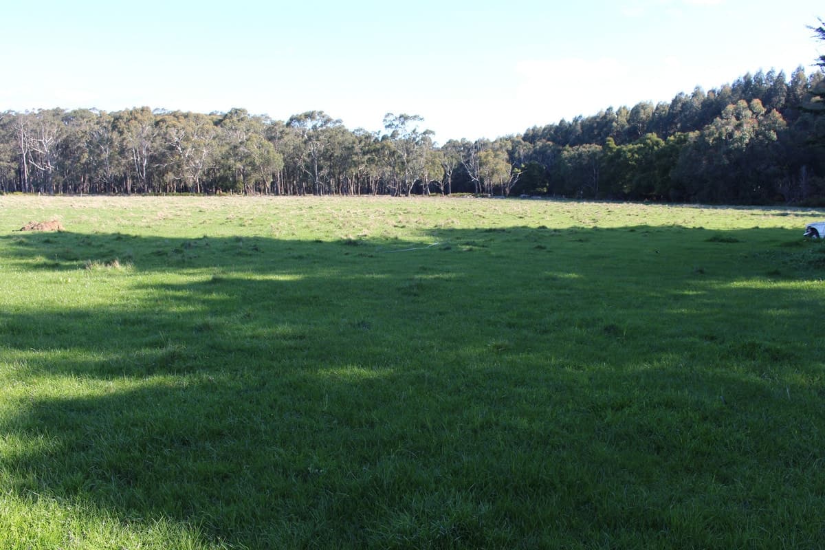 119 Nicols Road, Carpendeit, VIC, Carpendeit - Thumbnail 2