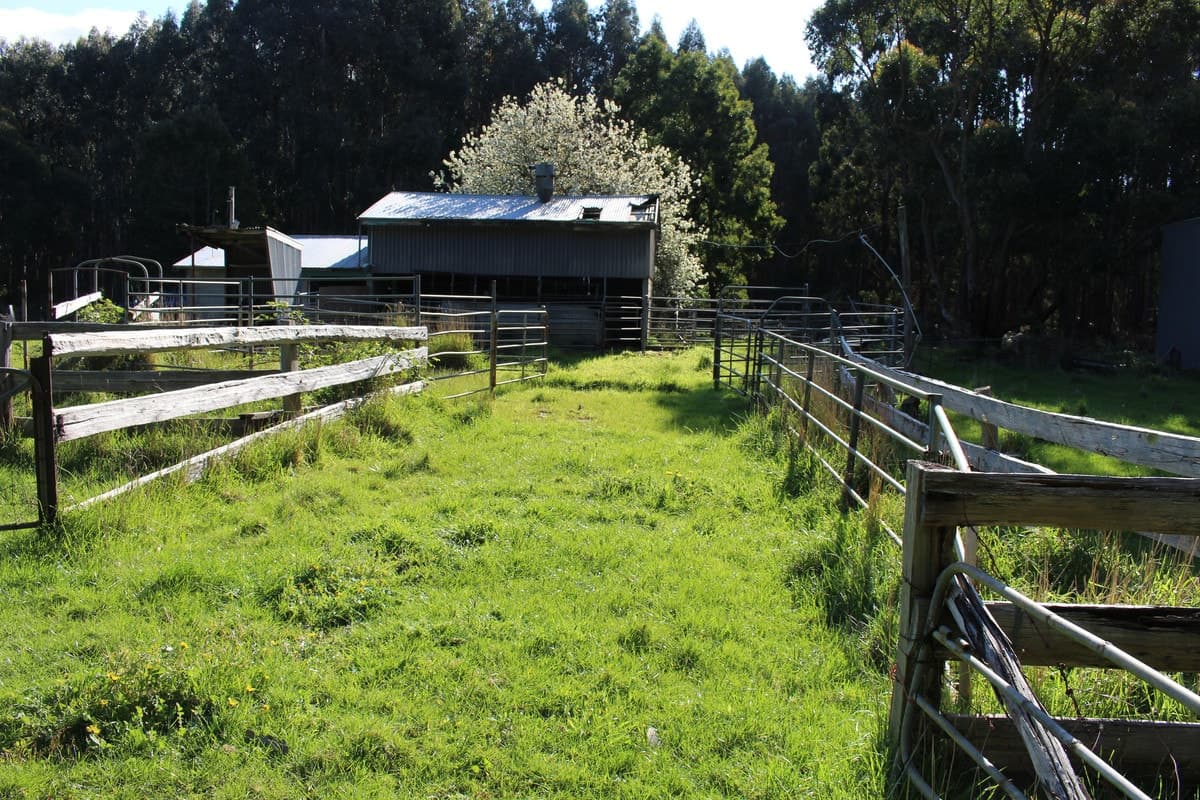 119 Nicols Road, Carpendeit, VIC, Carpendeit - Thumbnail 7