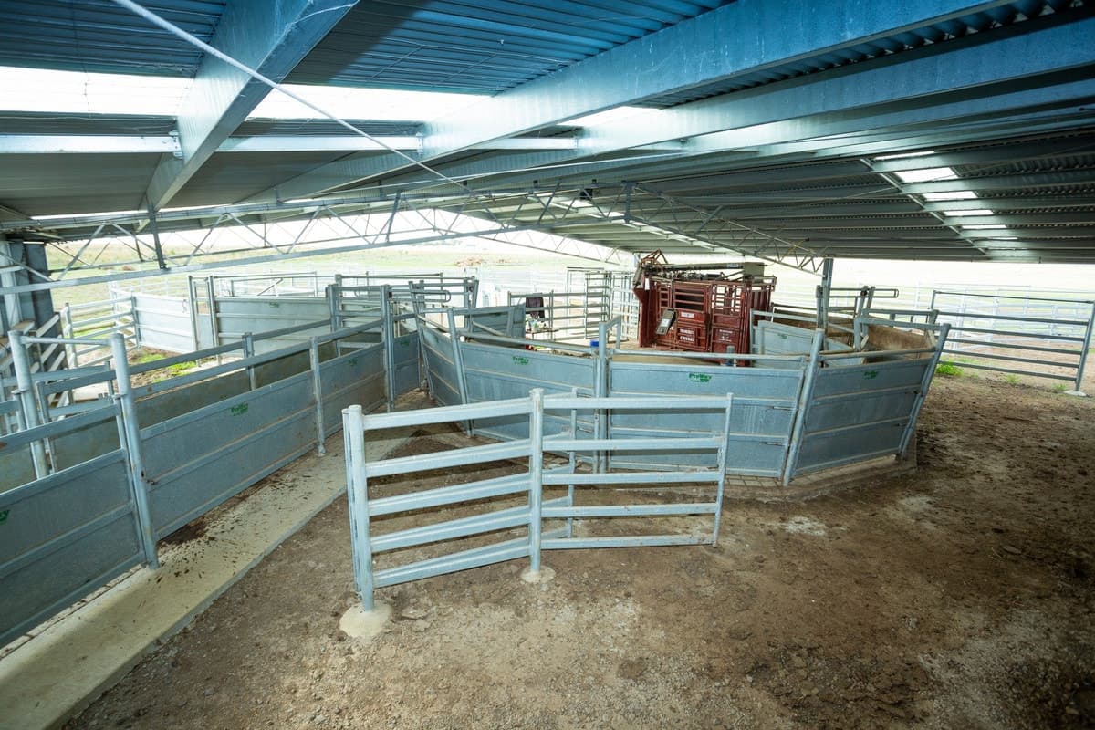 460 Ramsay Road, Irrewarra, VIC, Irrewarra - Thumbnail 4