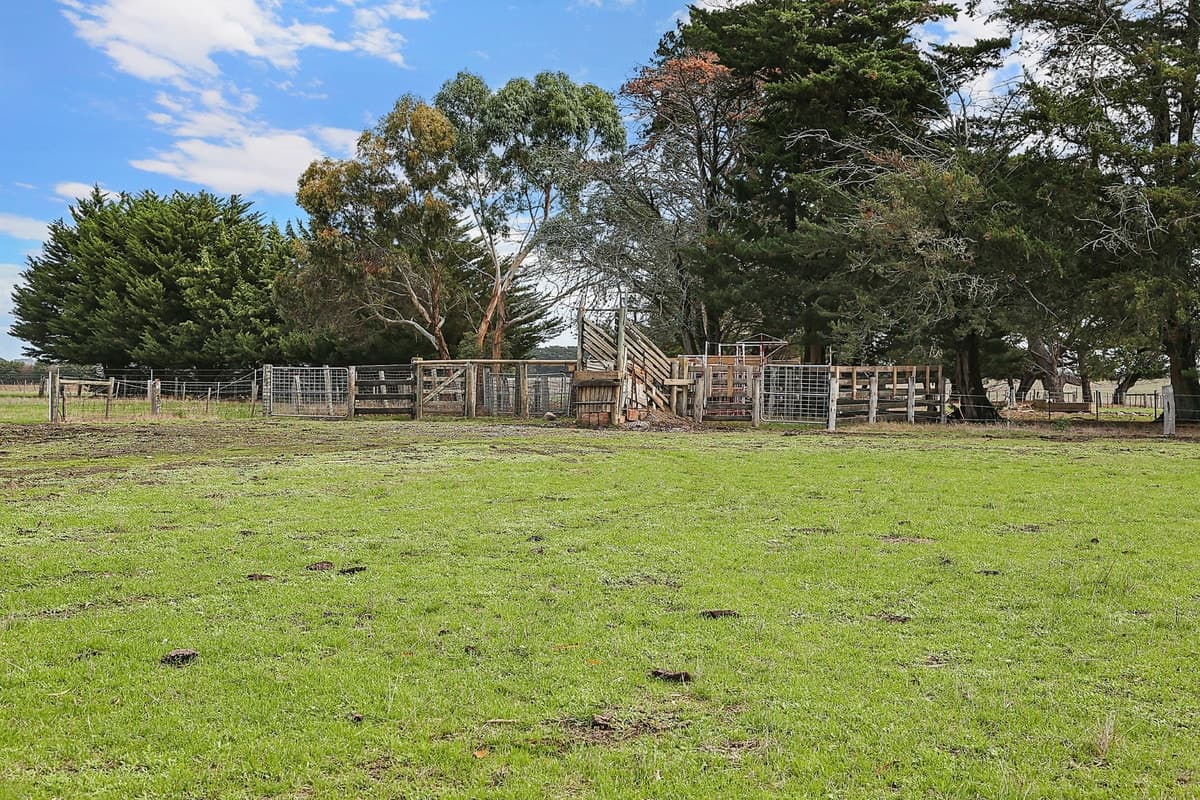 175 Bourkes Road, Warncoort, VIC, Warncoort - Thumbnail 3