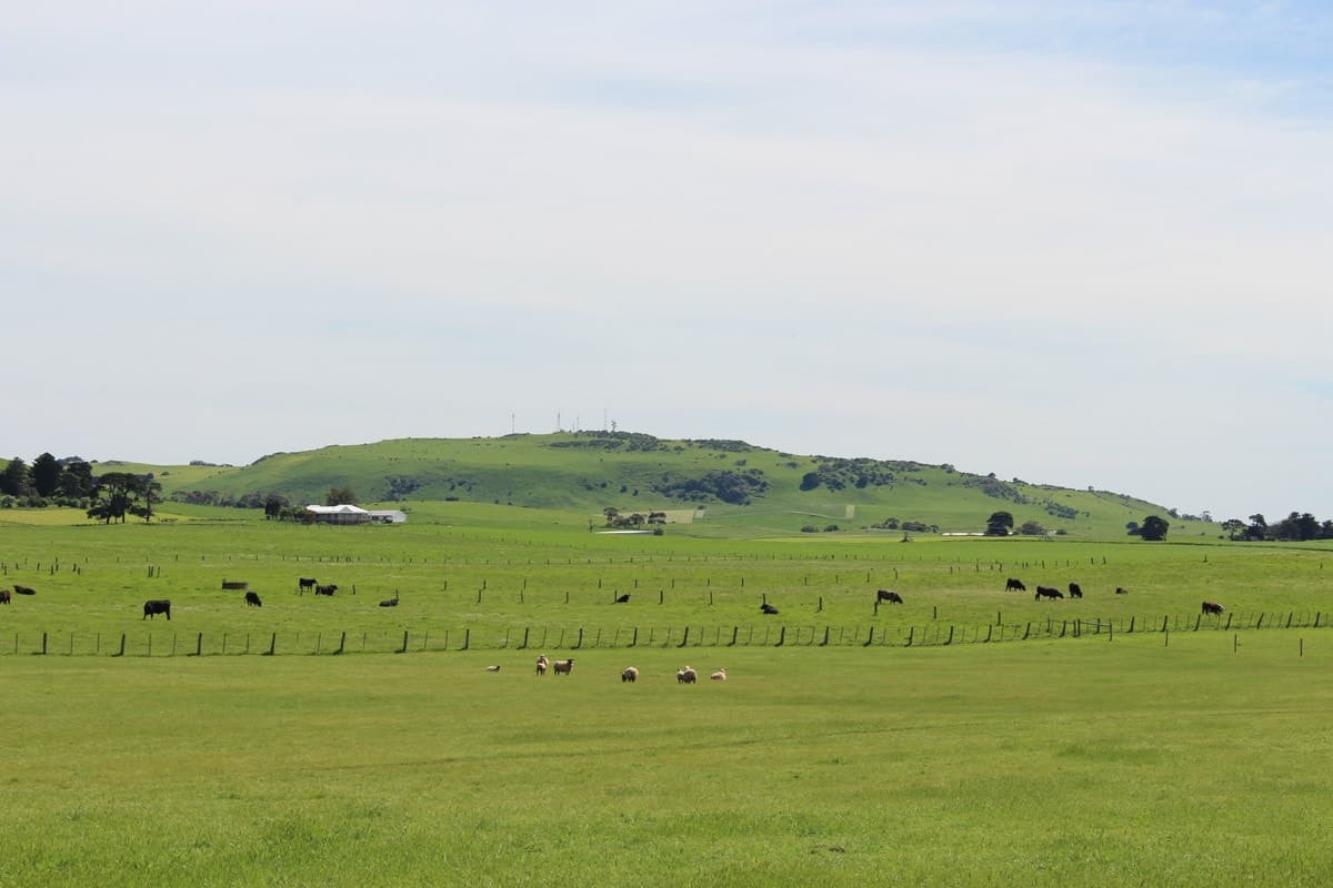 920 Corangamite Lake Road, Coragulac, VIC, Coragulac - Image 1