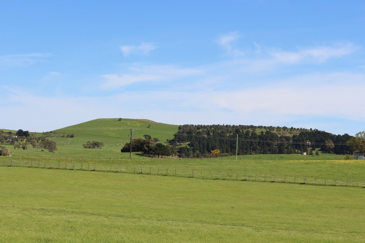 920 Corangamite Lake Road, Coragulac, VIC, Coragulac - Thumbnail 2