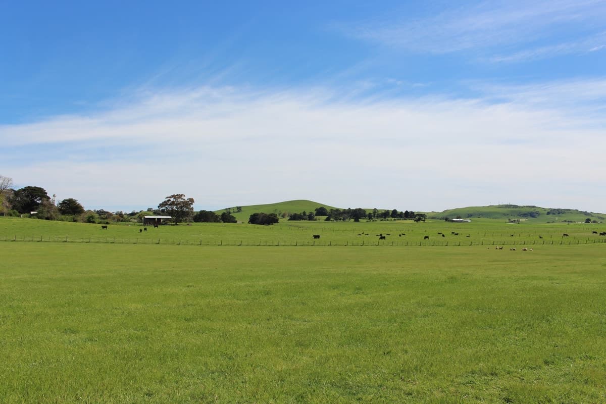 920 Corangamite Lake Road, Coragulac, VIC, Coragulac - Thumbnail 4