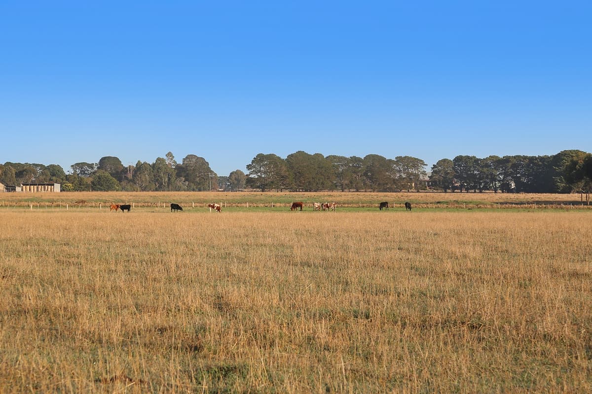 90 Scouller Street, Birregurra, VIC, Birregurra - Thumbnail 8