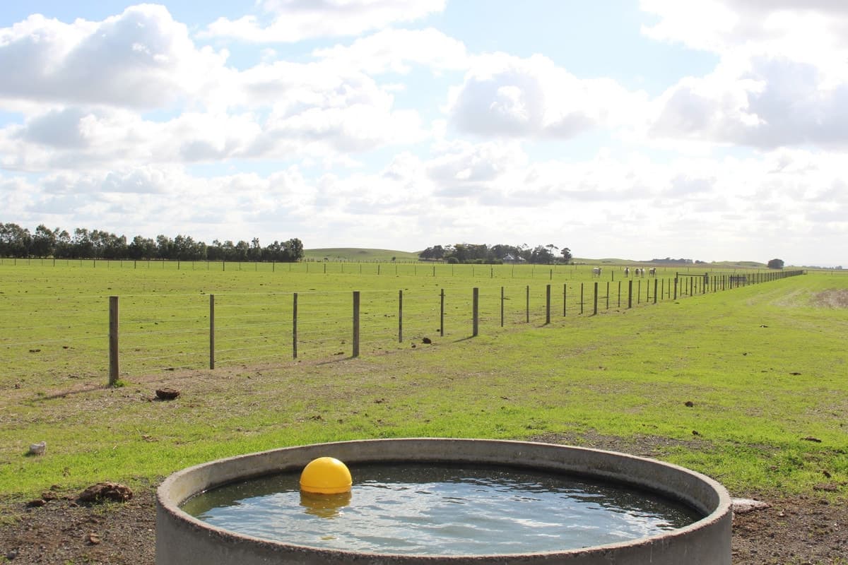 185 Pierces Road, Weering, VIC, Weering - Thumbnail 2
