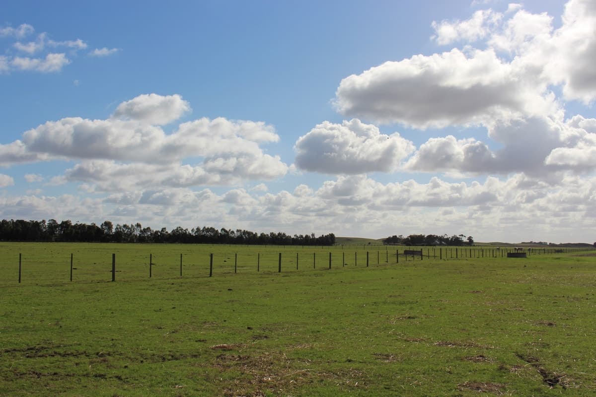 185 Pierces Road, Weering, VIC, Weering - Thumbnail 4