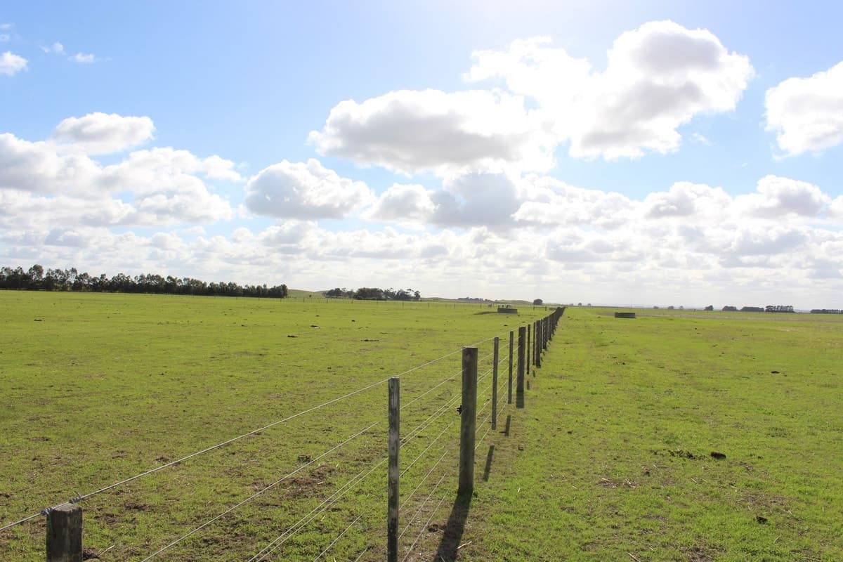 185 Pierces Road, Weering, VIC, Weering - Thumbnail 5