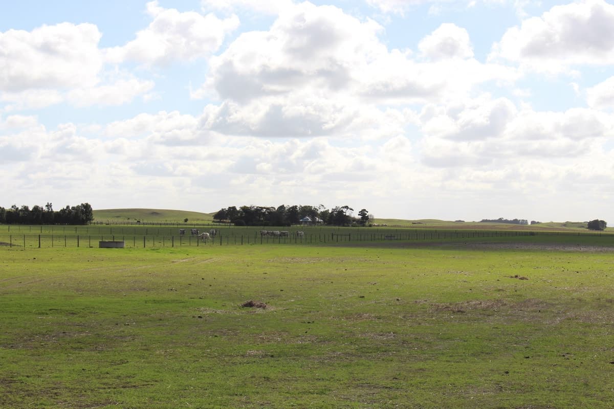185 Pierces Road, Weering, VIC, Weering - Thumbnail 7