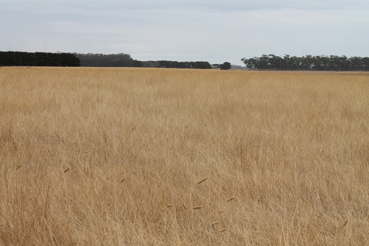 Milangil Estate Road, Kariah, VIC, Kariah - Thumbnail 2