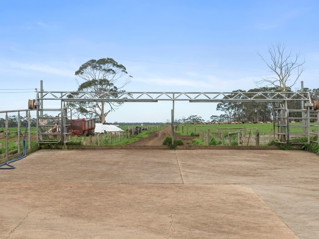 101 Jancourt Forest Road, Carpendeit, VIC, Carpendeit - Thumbnail 6