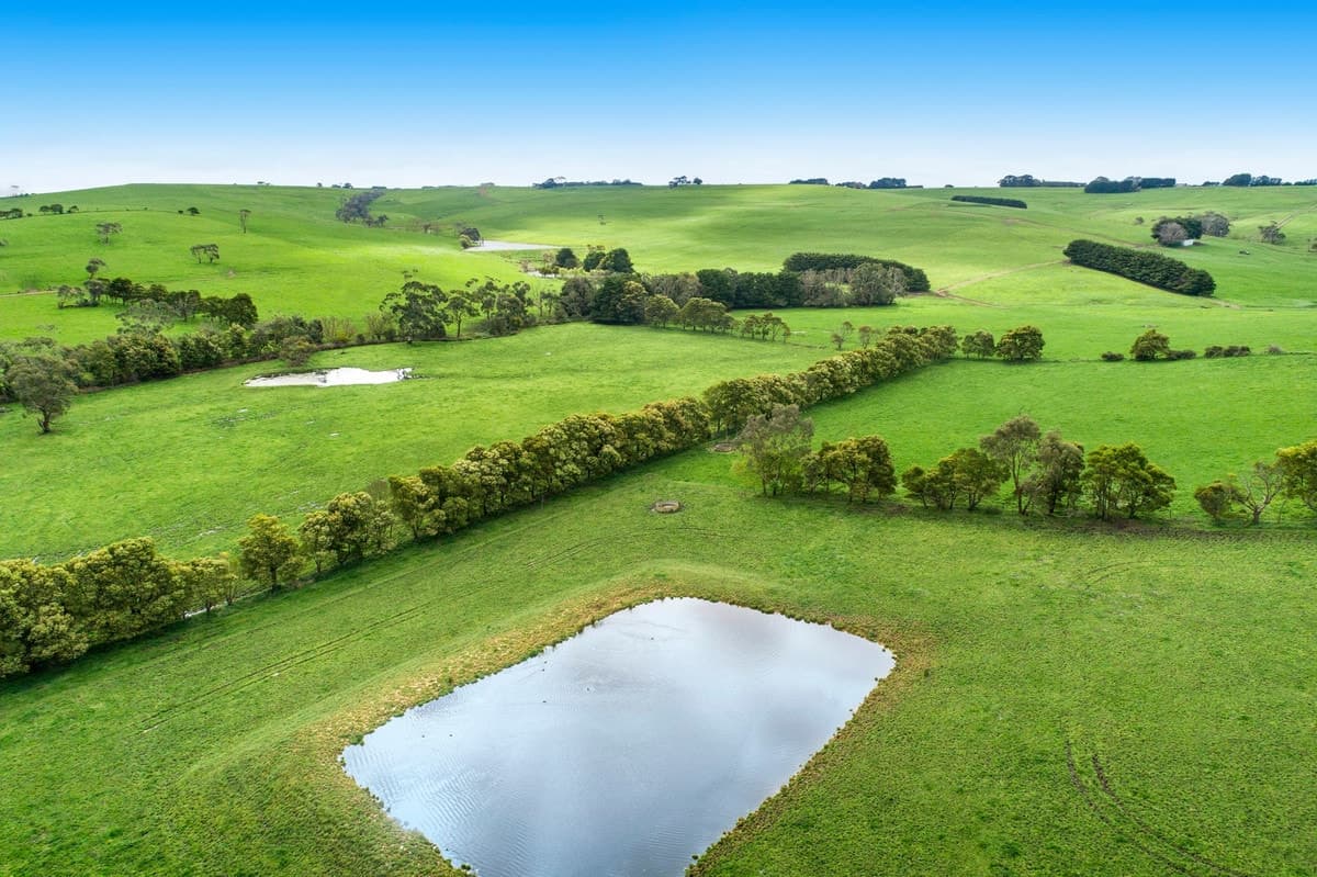 660 Bucks Road, Simpson, VIC, Simpson - Thumbnail 3