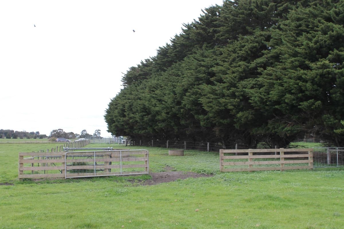 15 Kerrs Road, Ondit, VIC, Ondit - Thumbnail 4