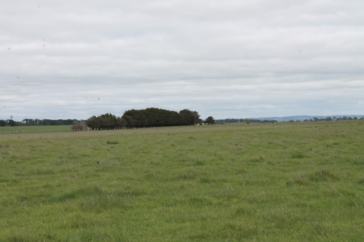 15 Kerrs Road, Ondit, VIC, Ondit - Thumbnail 6