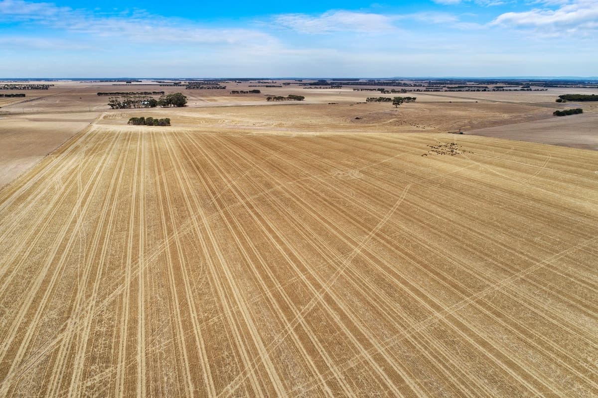 3335 Foxhow-Berrybank Road, Berrybank, VIC, Berrybank - Thumbnail 8